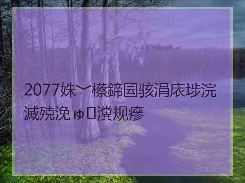 2077姝﹀櫒鍗囩骇涓庡埗浣滅殑浼ゅ瀵规瘮