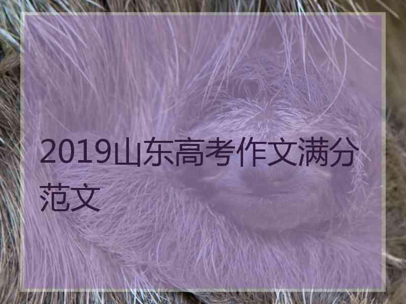 2019山东高考作文满分范文