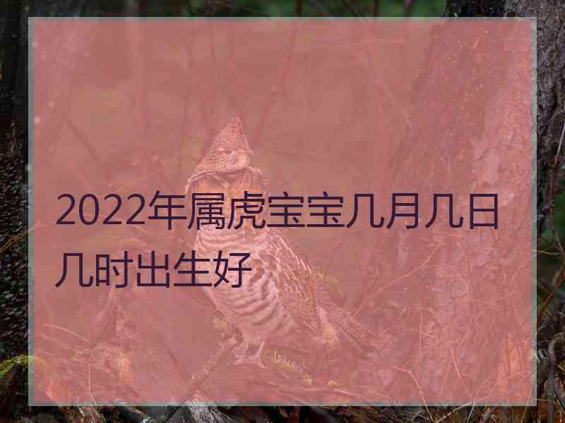 2022年属虎宝宝几月几日几时出生好