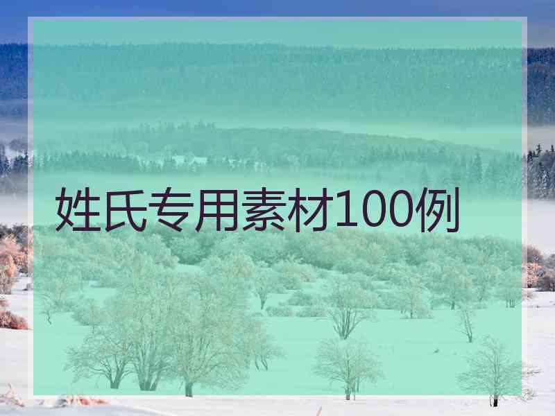 姓氏专用素材100例