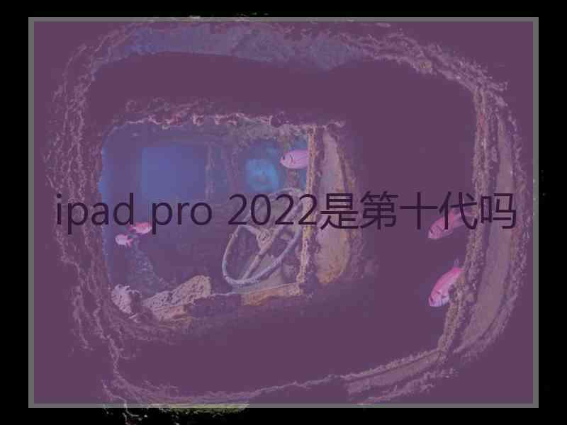 ipad pro 2022是第十代吗