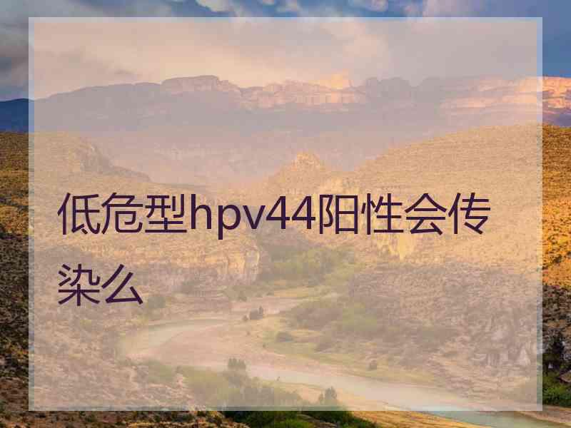 低危型hpv44阳性会传染么