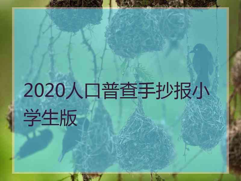 2020人口普查手抄报小学生版