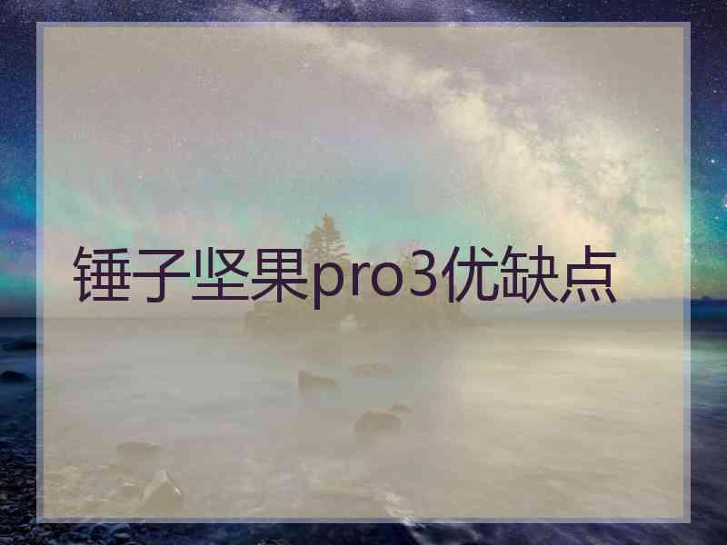 锤子坚果pro3优缺点