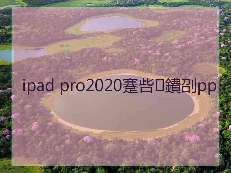 ipad pro2020蹇呰鐨刟pp