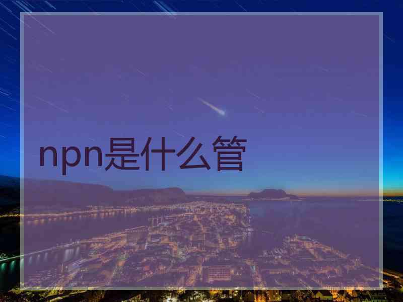 npn是什么管