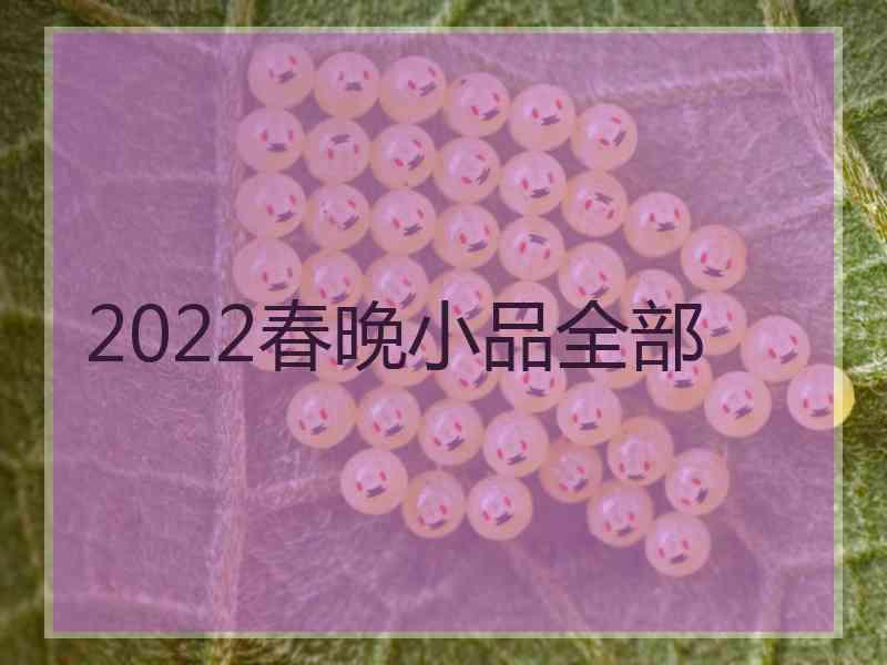 2022春晚小品全部