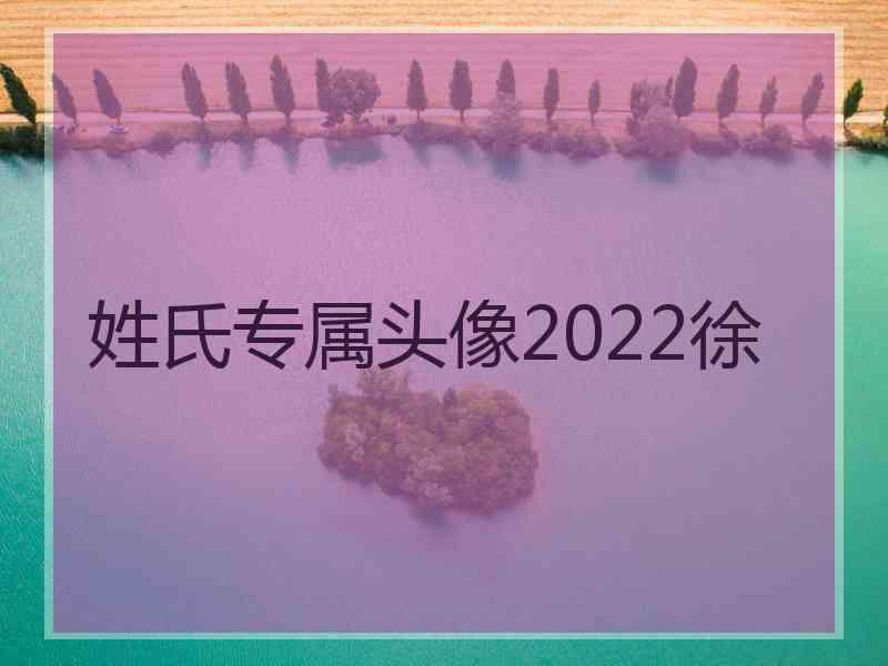 姓氏专属头像2022徐