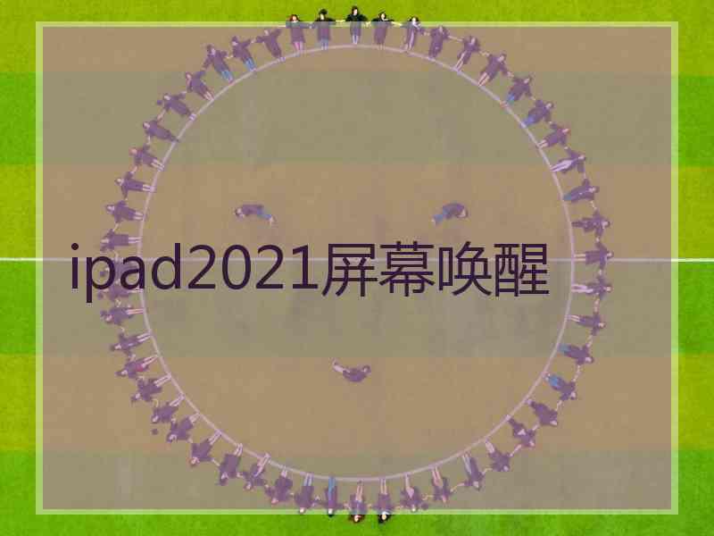 ipad2021屏幕唤醒