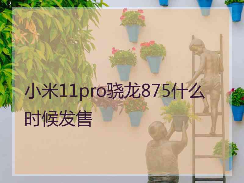 小米11pro骁龙875什么时候发售