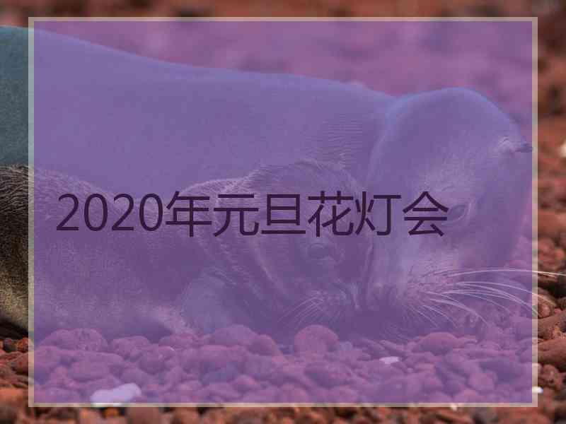 2020年元旦花灯会