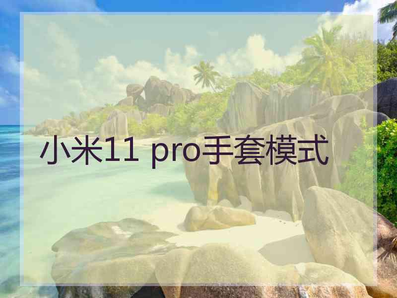 小米11 pro手套模式