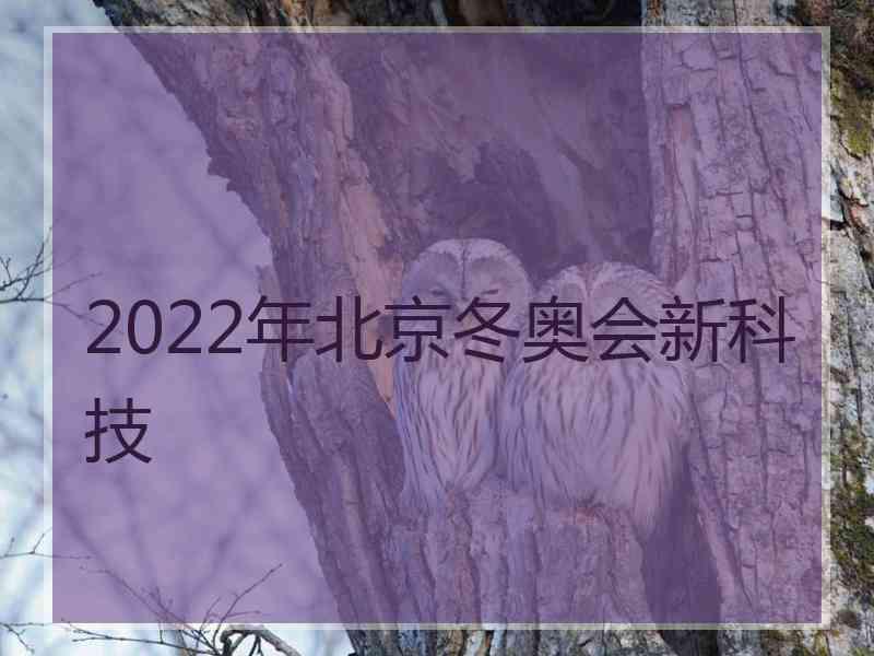 2022年北京冬奥会新科技