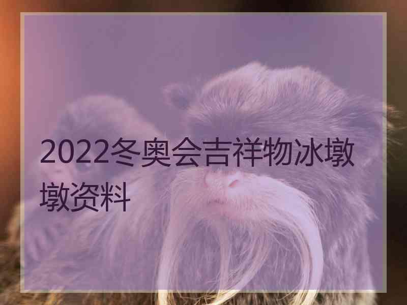 2022冬奥会吉祥物冰墩墩资料