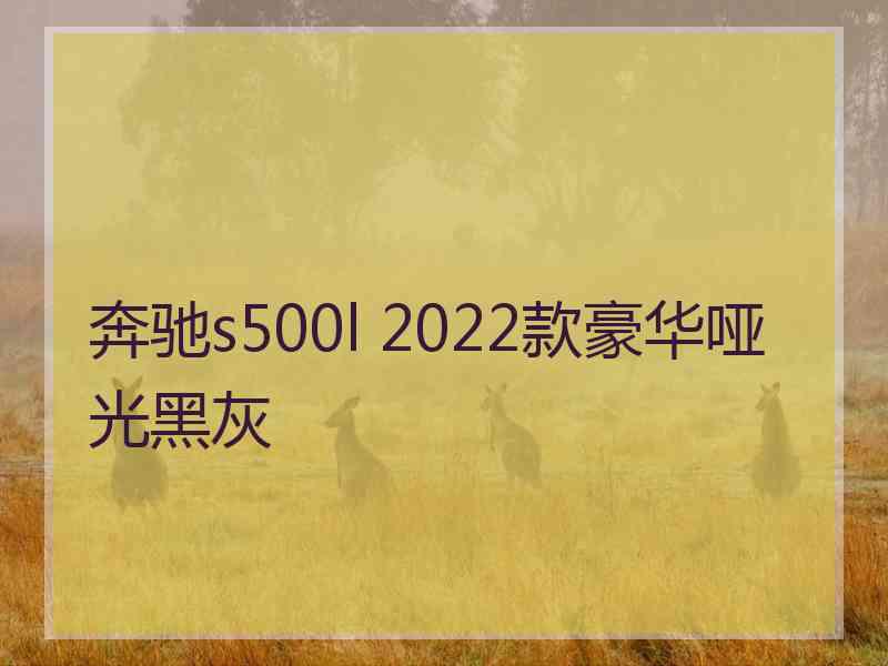 奔驰s500l 2022款豪华哑光黑灰