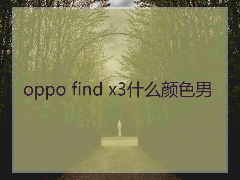 oppo find x3什么颜色男