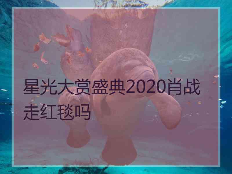 星光大赏盛典2020肖战走红毯吗