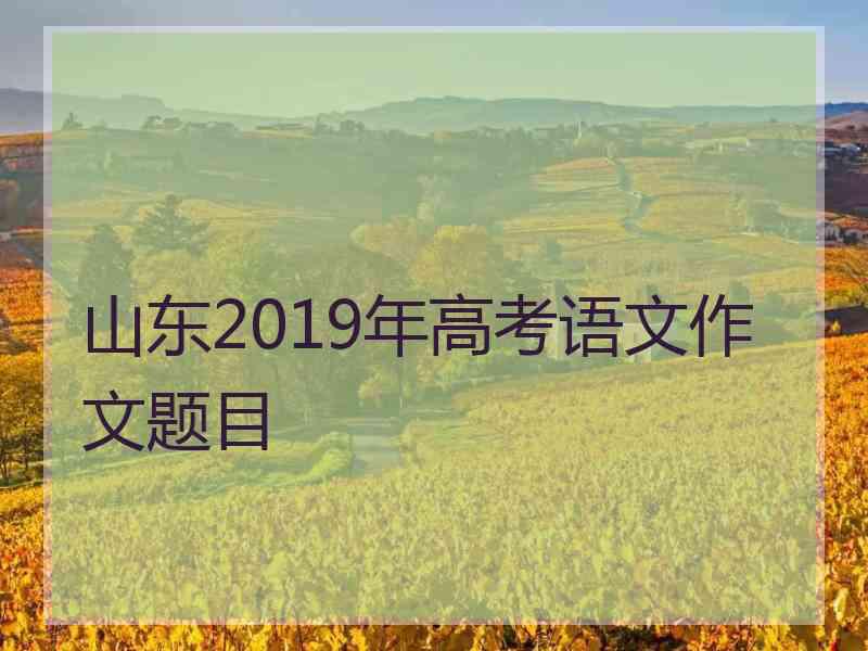 山东2019年高考语文作文题目