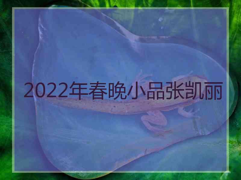 2022年春晚小品张凯丽