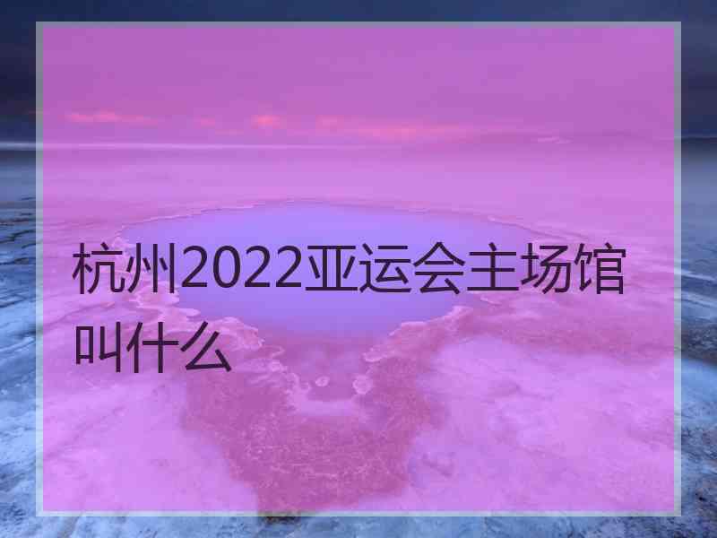 杭州2022亚运会主场馆叫什么