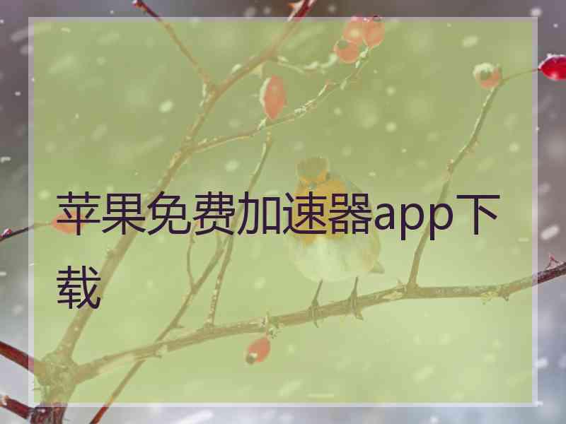 苹果免费加速器app下载