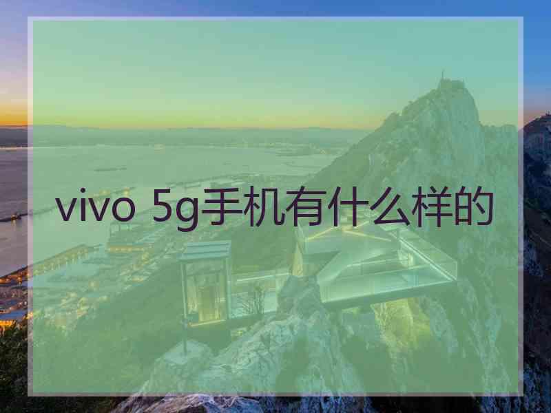 vivo 5g手机有什么样的