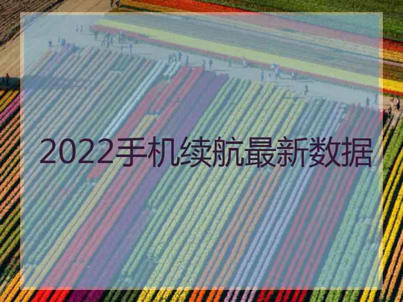 2022手机续航最新数据