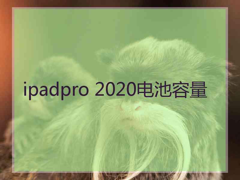 ipadpro 2020电池容量