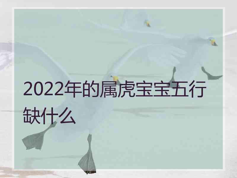 2022年的属虎宝宝五行缺什么