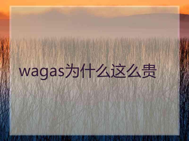 wagas为什么这么贵