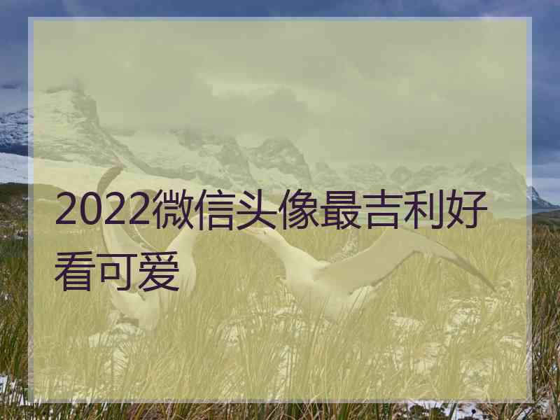 2022微信头像最吉利好看可爱