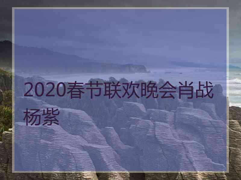 2020春节联欢晚会肖战杨紫