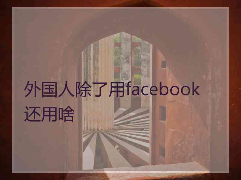 外国人除了用facebook 还用啥