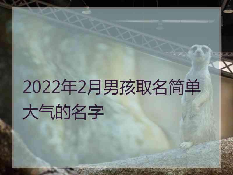 2022年2月男孩取名简单大气的名字