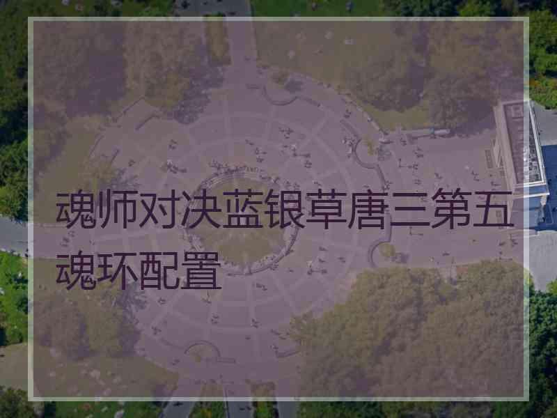 魂师对决蓝银草唐三第五魂环配置