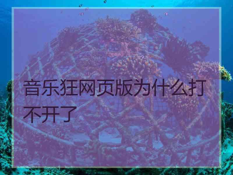 音乐狂网页版为什么打不开了