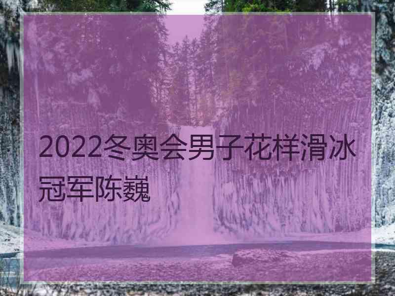 2022冬奥会男子花样滑冰冠军陈巍