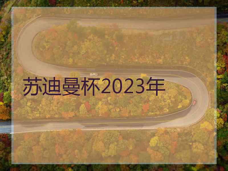 苏迪曼杯2023年