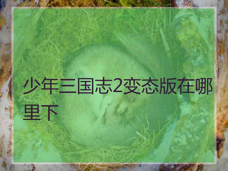 少年三国志2变态版在哪里下