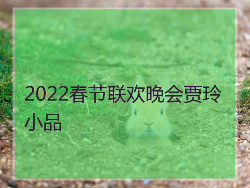 2022春节联欢晚会贾玲小品