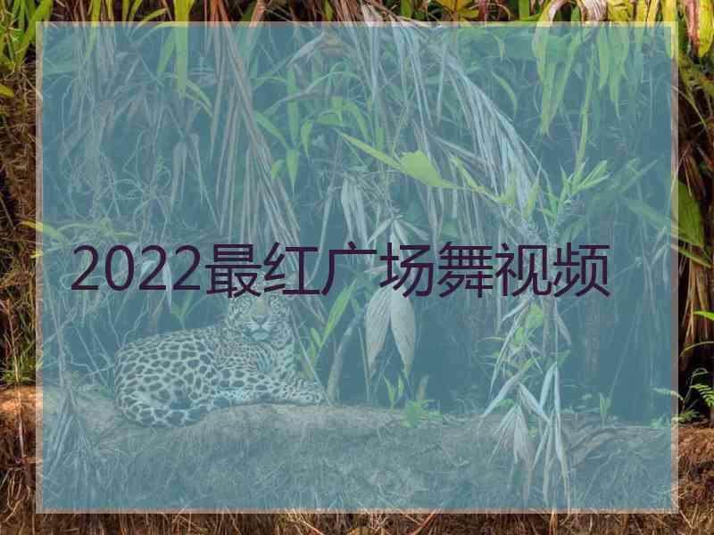 2022最红广场舞视频