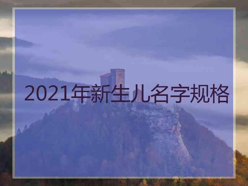 2021年新生儿名字规格