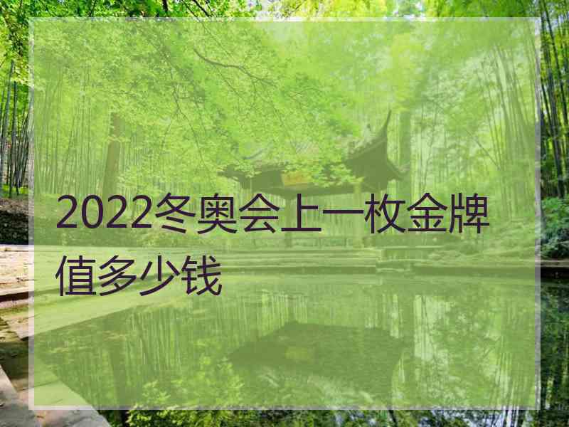 2022冬奥会上一枚金牌值多少钱