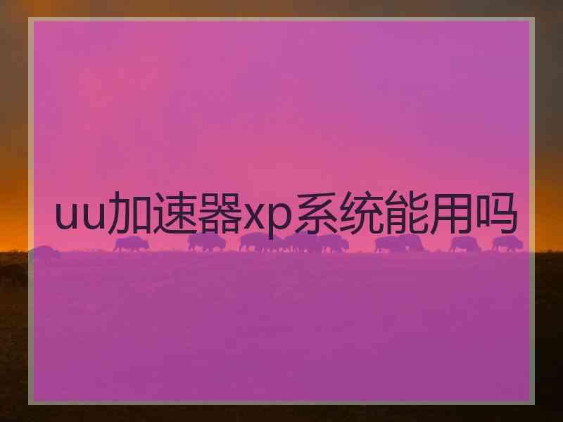 uu加速器xp系统能用吗