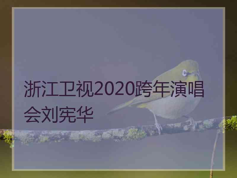 浙江卫视2020跨年演唱会刘宪华