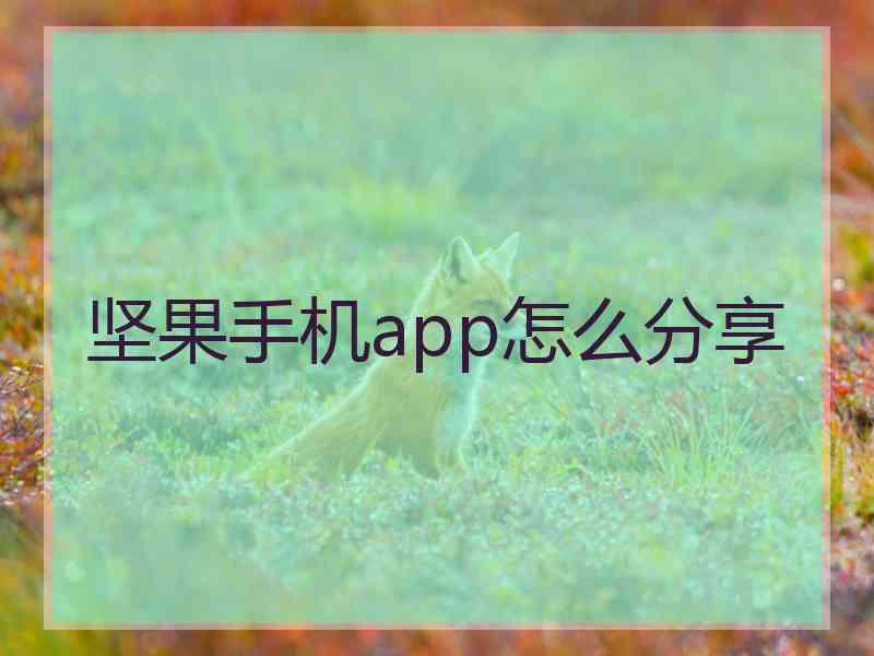 坚果手机app怎么分享