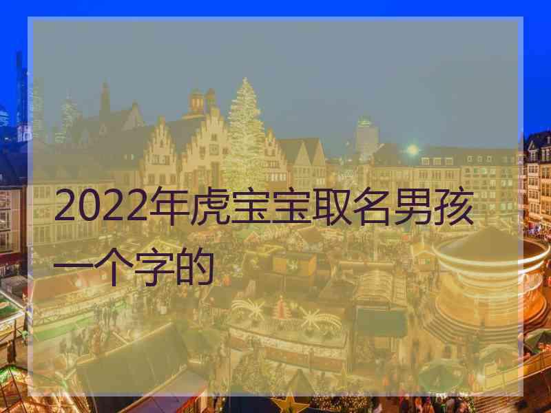 2022年虎宝宝取名男孩一个字的