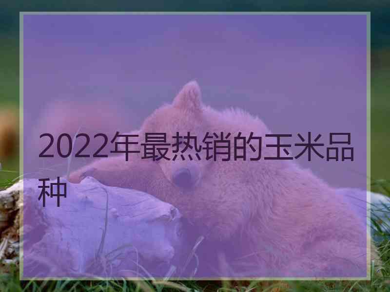 2022年最热销的玉米品种