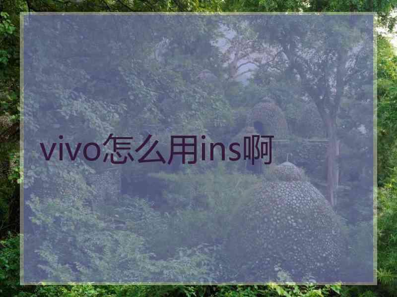 vivo怎么用ins啊