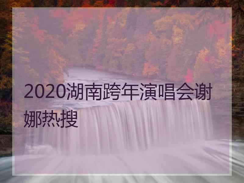 2020湖南跨年演唱会谢娜热搜